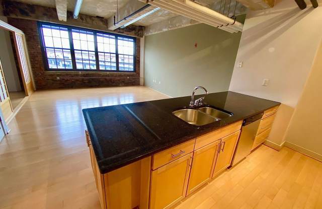 234 HOLLIDAY STREET 503 Gallery 2