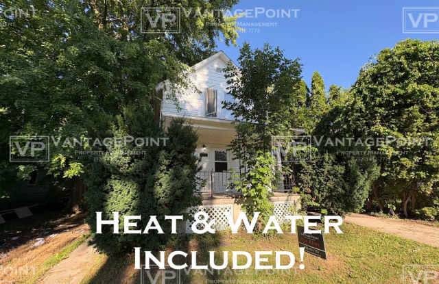 206 Amory Street - Lower Gallery 1