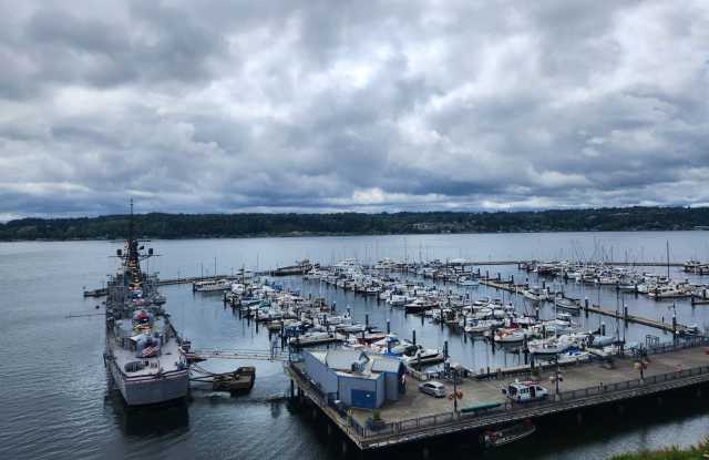 Washington Ave #306 photos photos