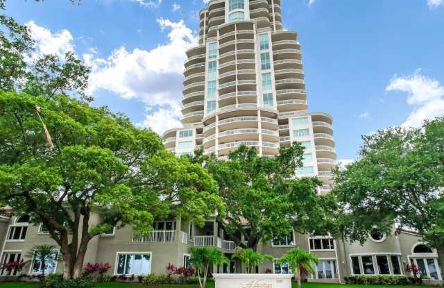 3507 BAYSHORE Boulevard photos photos
