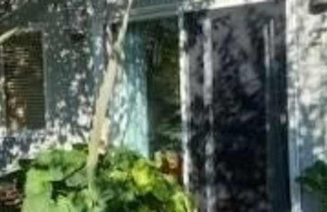 270 Cottage Walk Gallery 3