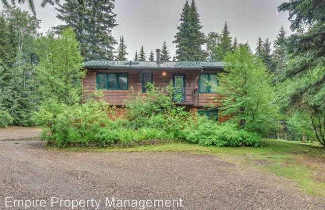 845 Birch Hill Road - 845 Birch Hill Road, Steele Creek, AK 99712