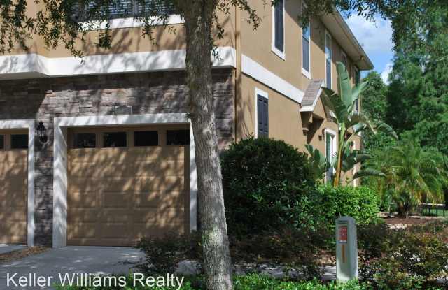 16427 Kingletridge Avenue - 16427 Kingletridge Avenue, Fish Hawk, FL 33547