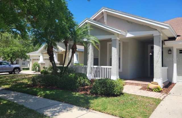 5015 SKY BLUE DRIVE - 5015 Sky Blue Drive, Cheval, FL 33558