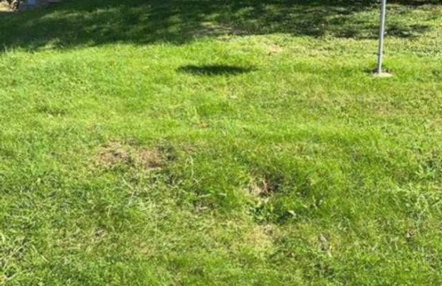 2 bed/1 bath house for rent photos photos