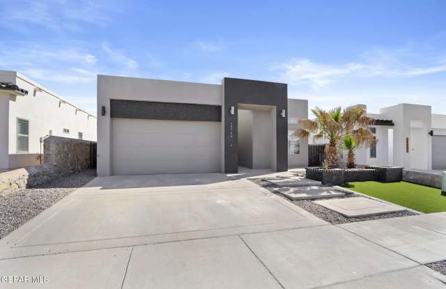 14264 JOHN SCAGNO Gallery 2
