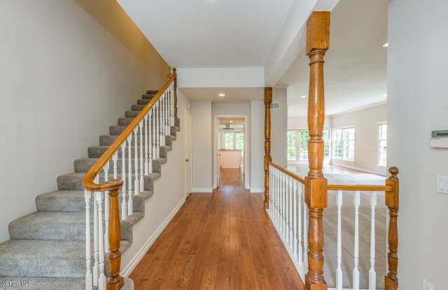 2949 Winding Lane Gallery 3