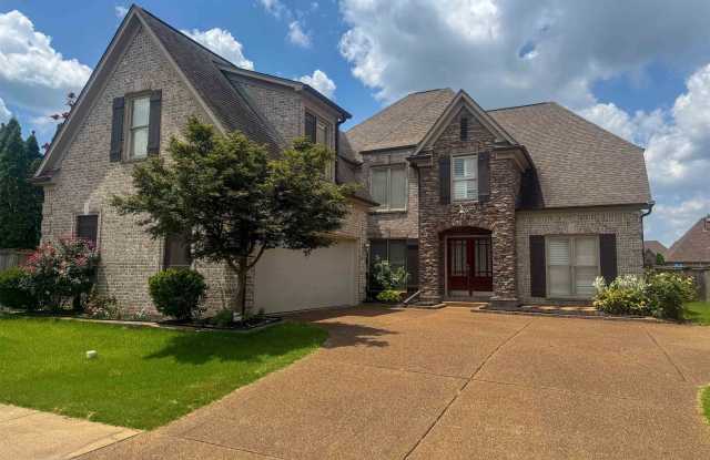 759 SOUTHERN BELLE photos photos