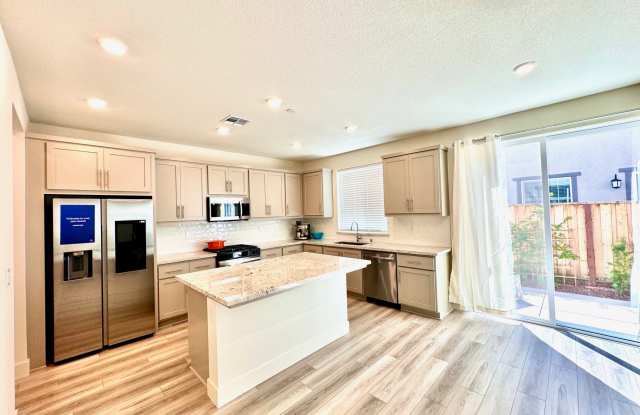 7253 Vinny Place - 7253 Vinny Place, Tracy, CA 95377