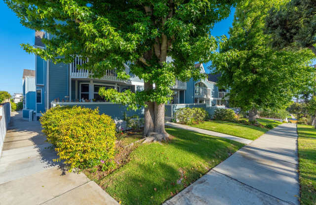 Lucia Avenue photos photos