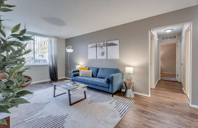 Spice Tree photos photos Spice Tree photos photos