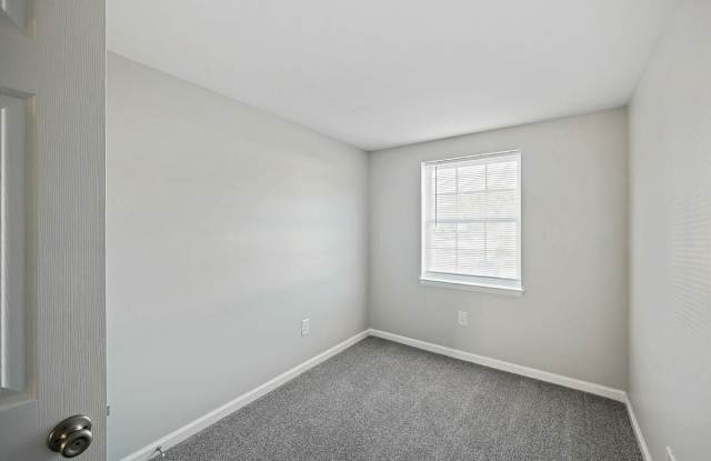 Village of Carrollwood photos photos Village of Carrollwood photos photos