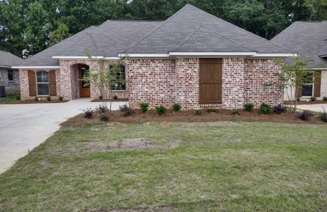 207 Silver Circle Pearl, MS photos photos