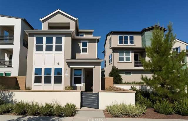 609 Gadwall photos photos 609 Gadwall photos photos