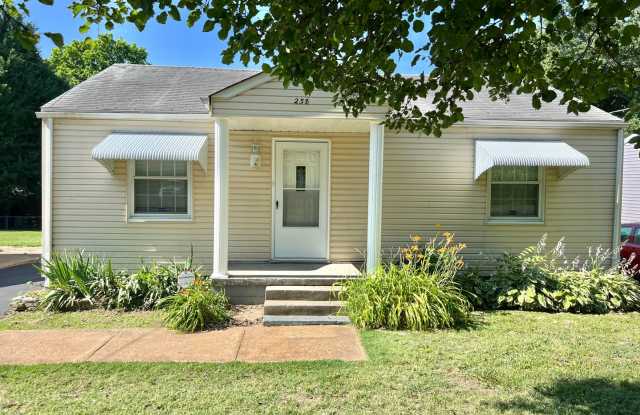 Beautifully Updated 2+ Bedroom Home with Partially Finished Basement - 238 Sadonia Avenue, Hazelwood, MO 63135 Beautifully Updated 2+ Bedroom Home with Partially Finished Basement - 238 Sadonia Avenue, Hazelwood, MO 63135