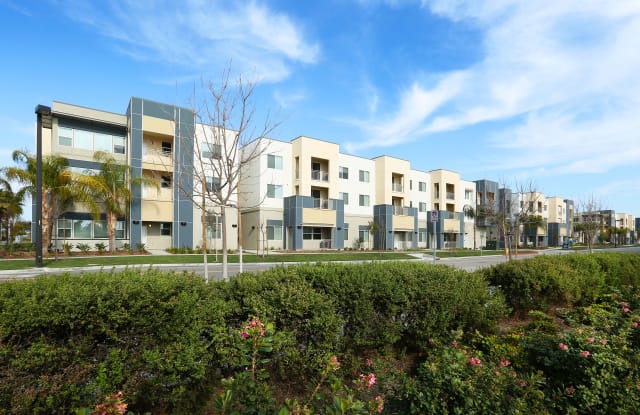 Mosaic Apartments Gallery 3