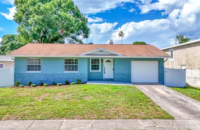 Beautiful 3BR/2BA Home Near Downtown St. Petersburg photos photos