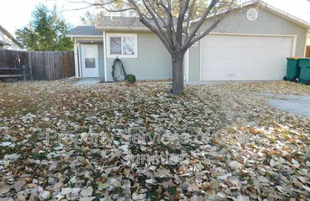 1426 Drumlin Street - 1426 Drumlin Street, Fruita, CO 81521