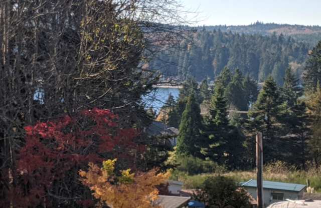 Charming, bright and peaceful condo close to ferries and shopping in Kingston! photos photos