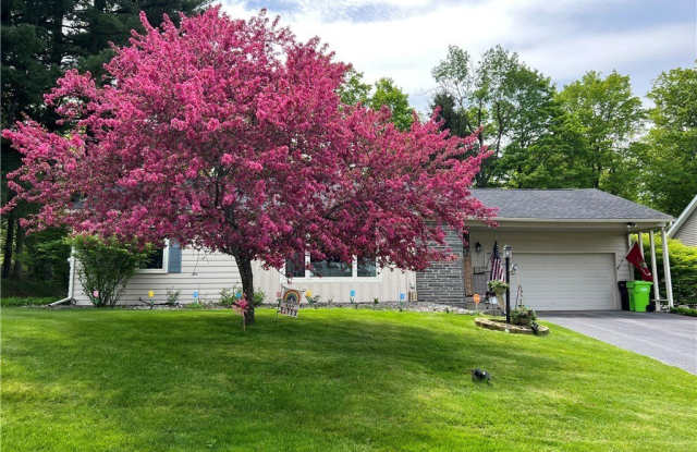 12 Forest Road photos photos