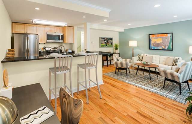 Luxury Brookline 1 Bed photos photos