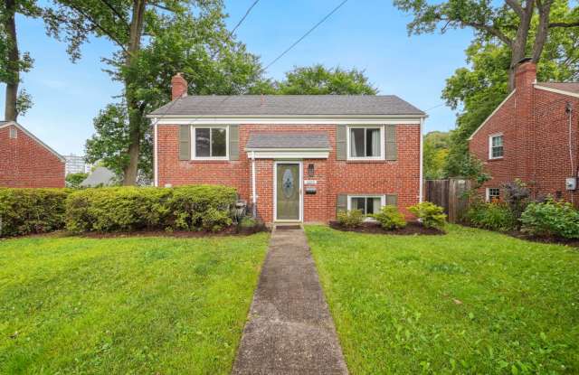 Just a Really Nice Home That's a Short Walk to the Silver Spring Metro! photos photos