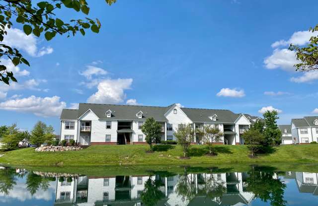 Deer Chase photos photos