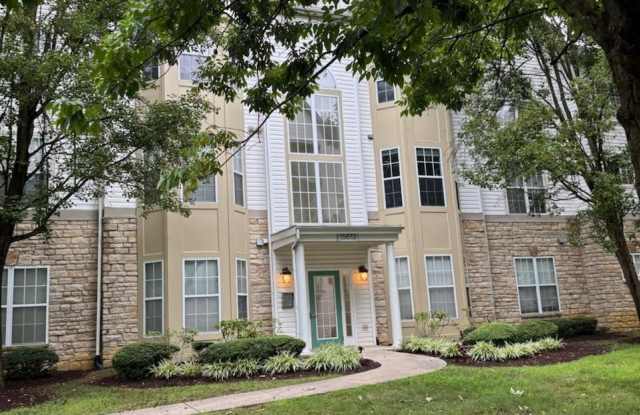15613 EVERGLADE Lane Gallery 1