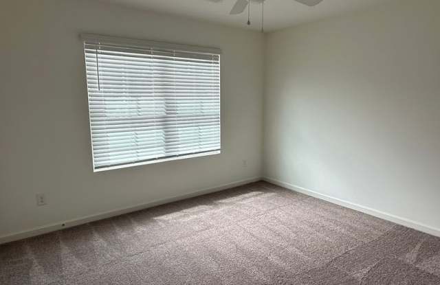 Spacious Family Home in Chelsea Park - Coming Soon Gallery 3