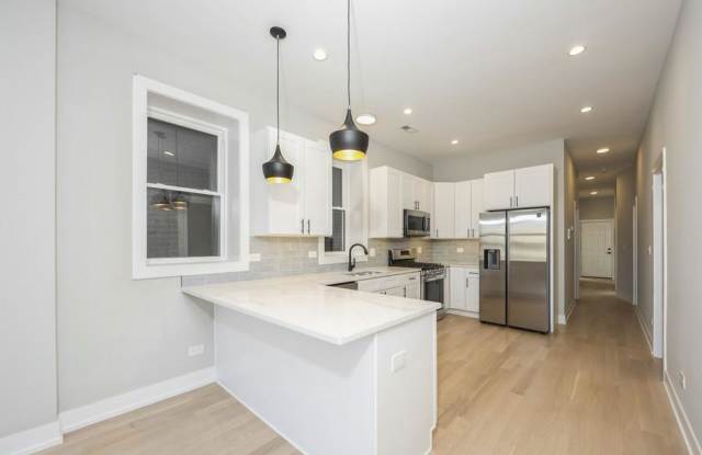 1541 N Washtenaw Ave - 1541 North Washtenaw Avenue, Chicago, IL 60622