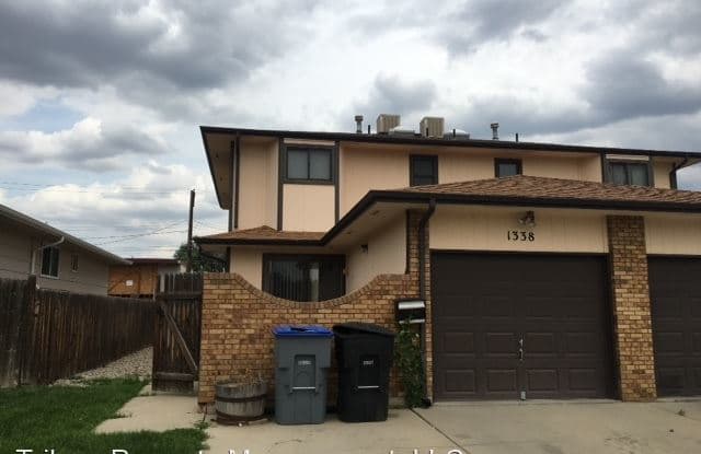 1338 Terry Street - 1338 Terry Street - 1338 Terry Street, Longmont, CO 80501