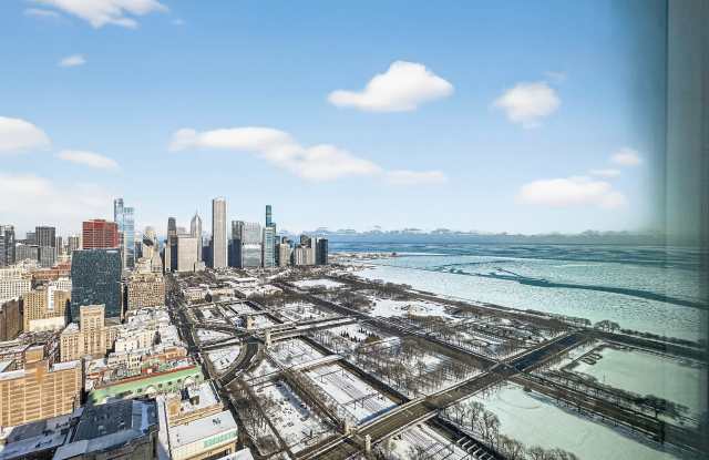 800 S Michigan Ave Gallery 3