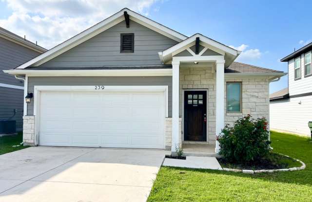 239 Wild Wind Trail Jarrell, TX 76537 Gallery 1