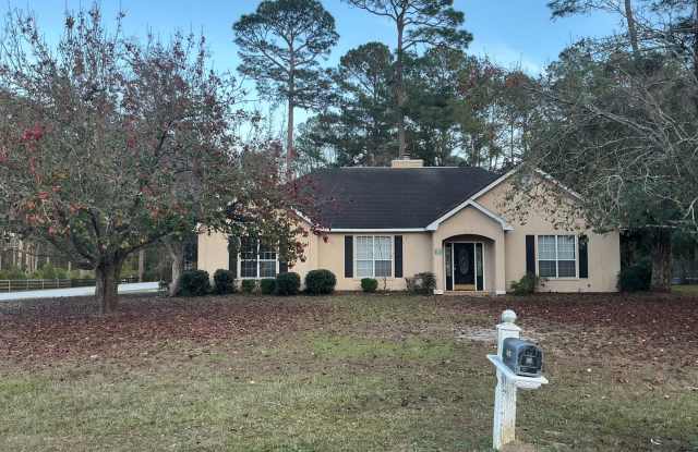 Beautiful Home! - 1290 Riverdale Drive, Ware County, GA 31503