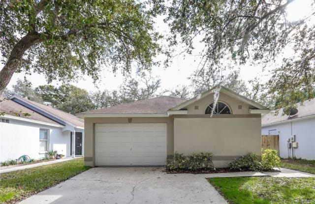 5838 TANAGERLAKE ROAD - 5838 Tanagerlake Road, Fish Hawk, FL 33547