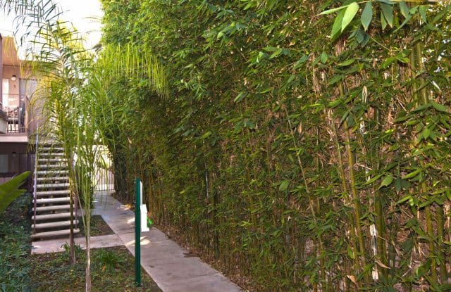 Elan Pacific Palms Gallery 3