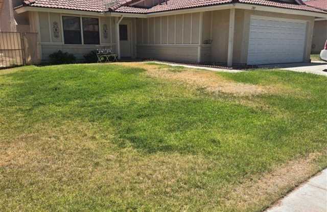 7703 Salishan Drive photos photos