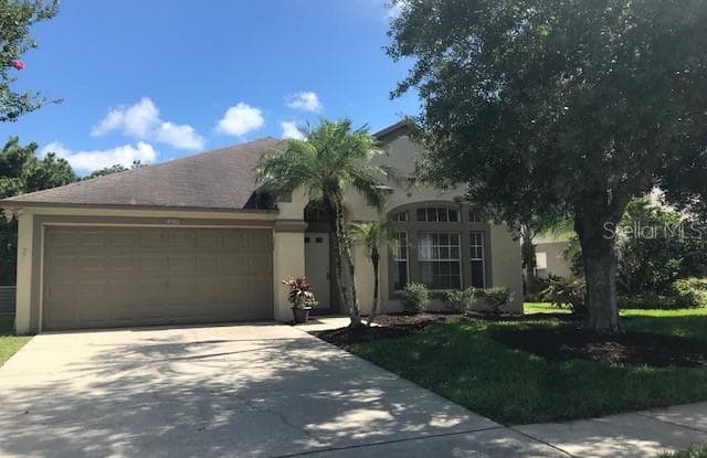 4940 RIDGEMOOR CIRCLE - 4940 Ridgemoor Circle, East Lake, FL 34685