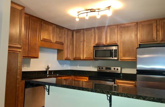 Very Spacious 2bd/2ba Condo in Brookhaven w/ Pool and Large Green Space! photos photos