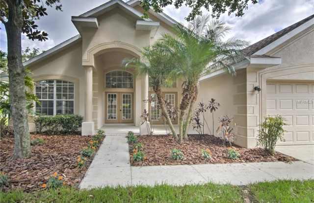 6122 WHIMBRELWOOD DRIVE - 6122 Whimbrelwood Drive, Fish Hawk, FL 33547