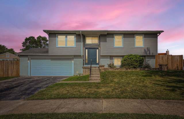 5611 Allemong Drive - 5611 Allemong Drive, Matteson, IL 60443