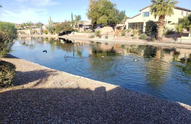 AVAILABLE NOW ON LAKE IN GATED COMMUNITY SOUTH CHANDLER!! Gallery 4