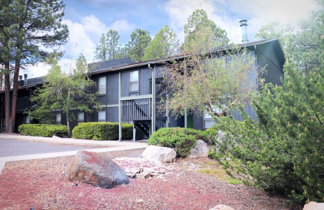 The Place At Forest Ridge Apartments Gallery 4