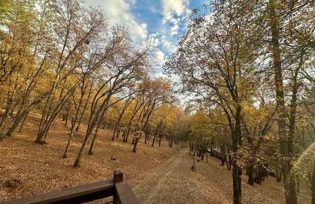 Unique 3 Bedroom 2 Bathroom House on Acreage - 12200 Dakota Court, Nevada County, CA 95949