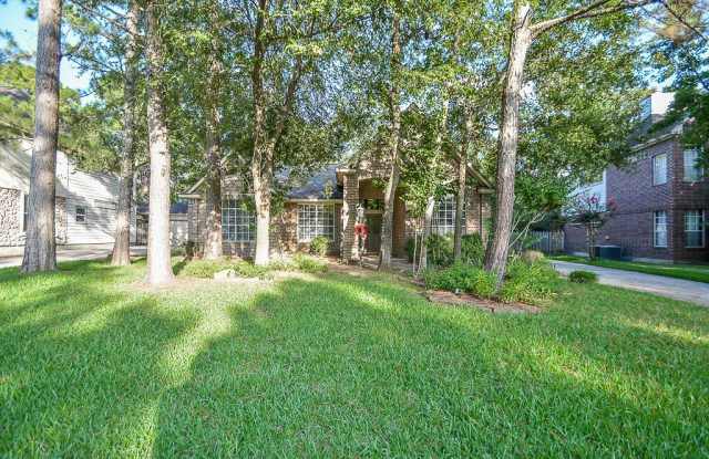 58 Treescape Cir - 58 Treescape Circle, The Woodlands, TX 77381