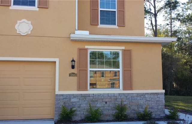 13943 RIVER WILLOW PLACE - 13943 River Willow Pl, Tampa, FL 33637