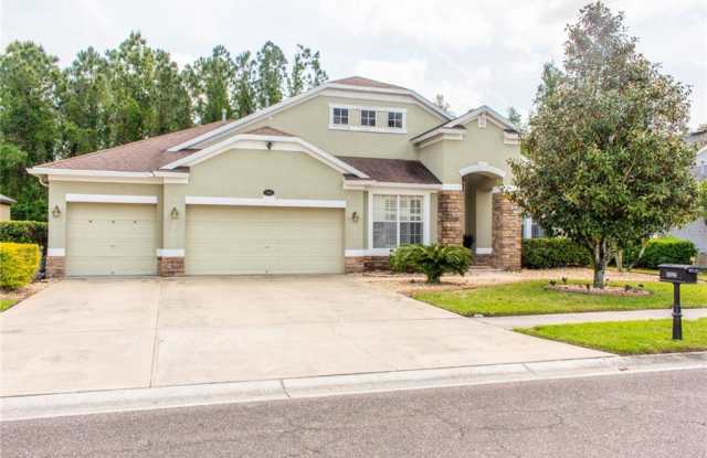 16722 IVY LAKE DRIVE - 16722 Ivy Lake Drive, Odessa, FL 33556