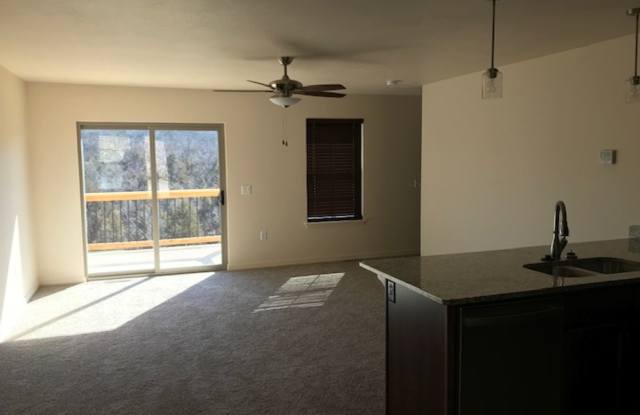 3 Bedroom 2 Bath 2 Car Garage For Rent in Branson MO Gallery 3