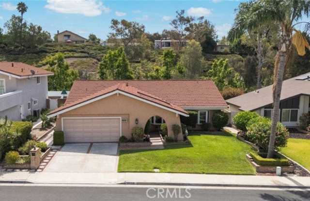 24382 Macedo Drive photos photos