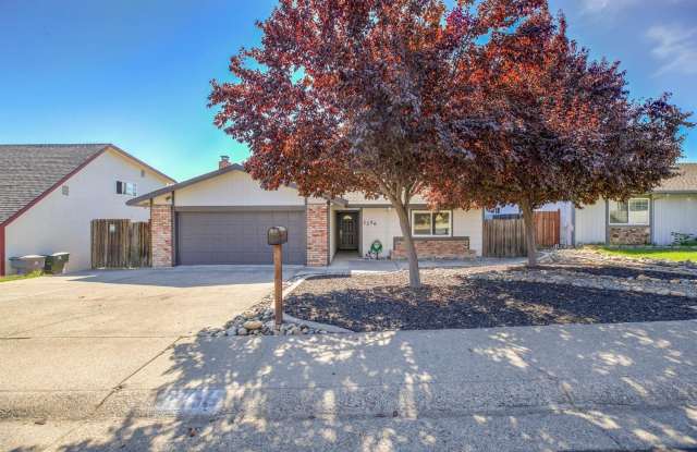 2256 Pinnacles Dr Gallery 4